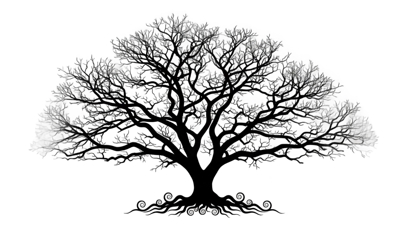 black tree png PNG transparent background