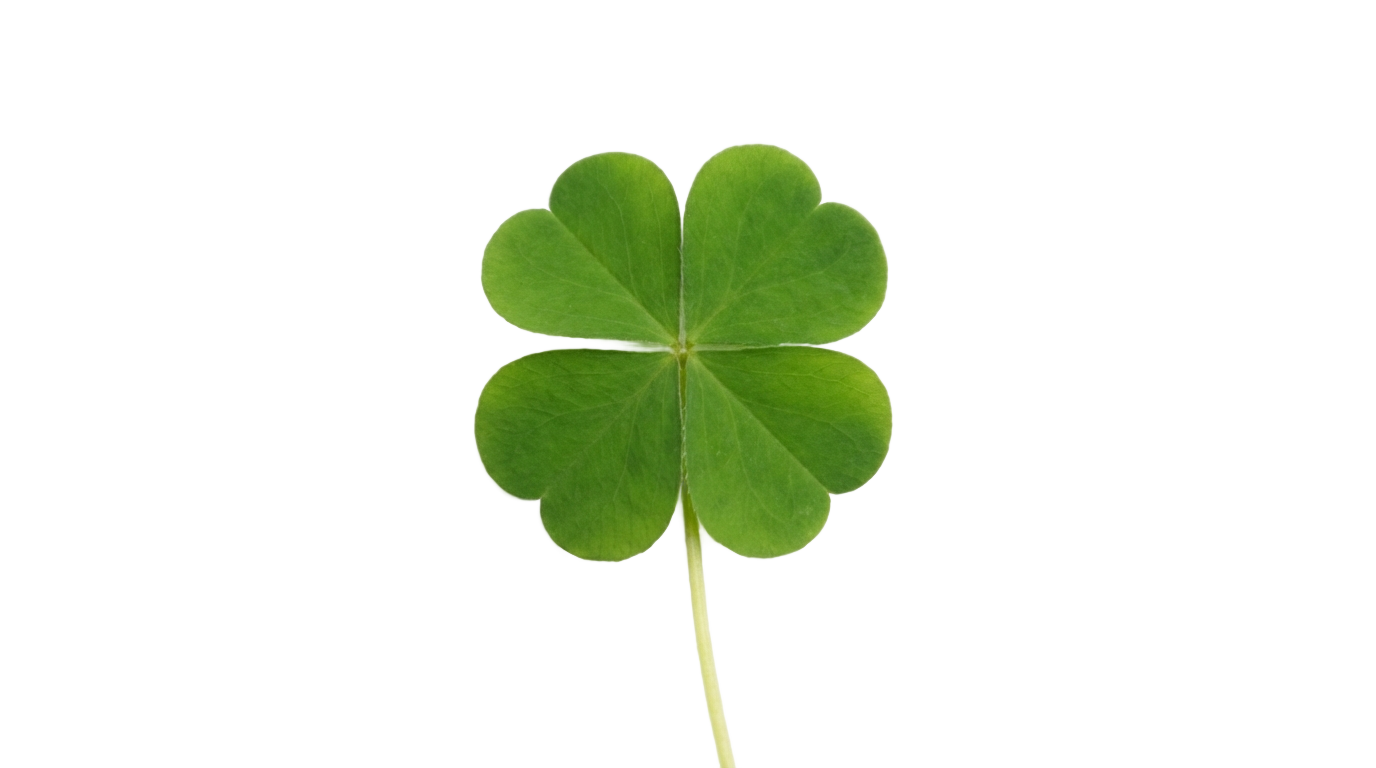 4 leaf clovers png PNG transparent background