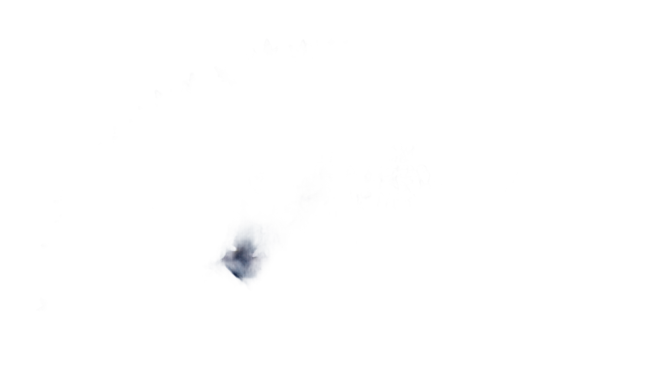 coral reef png PNG transparent background