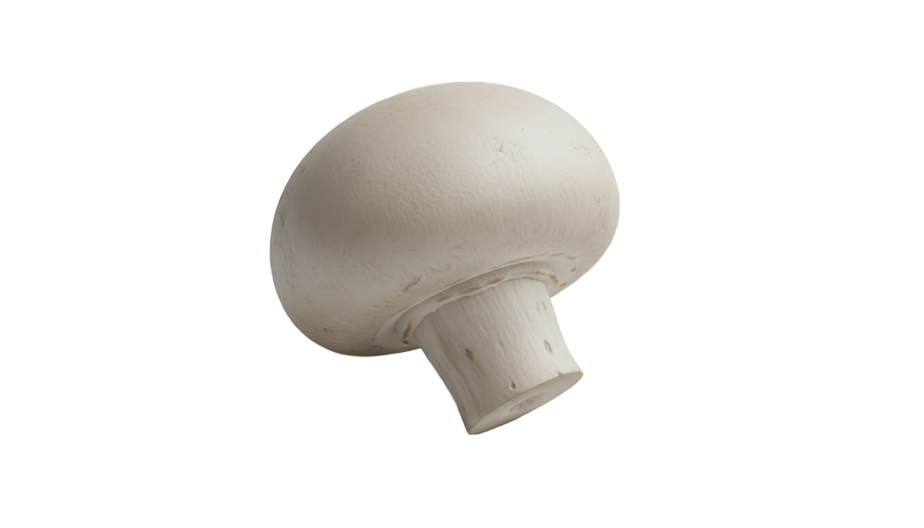 white mushroom png PNG transparent background