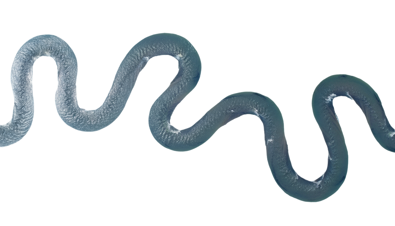 longest river in png PNG transparent background