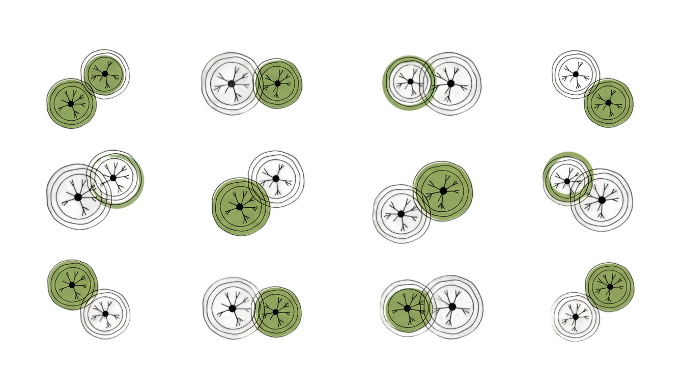 tree plans png PNG transparent background
