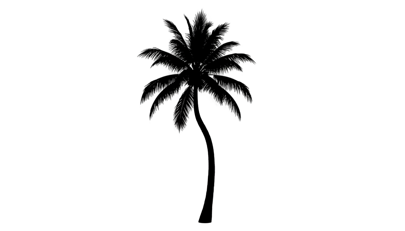 black palm tree png PNG transparent background