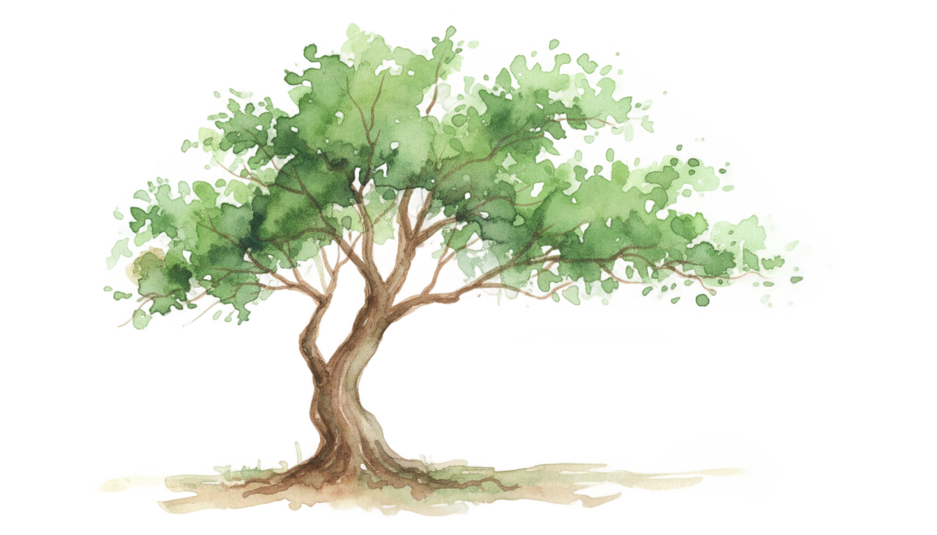 watercolor tree png PNG transparent background