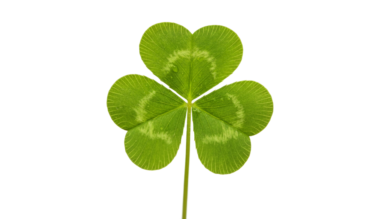 three leaf clover png PNG transparent background