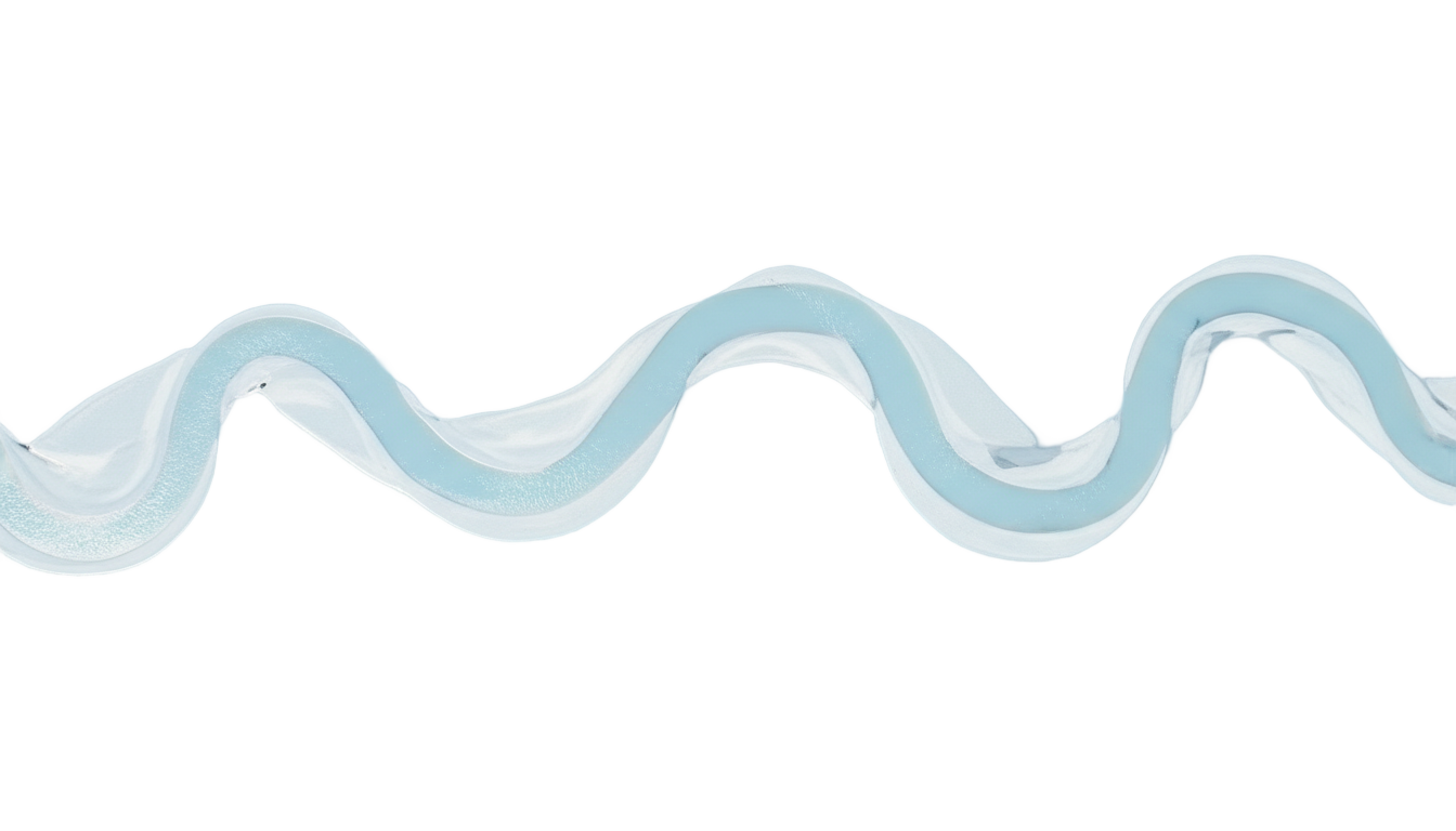longest river in png PNG transparent background
