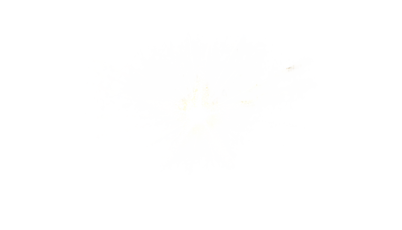 christmas star png PNG transparent background