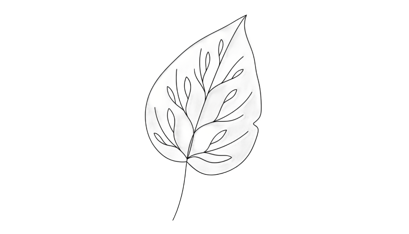 aesthetic leaf line art png PNG transparent background