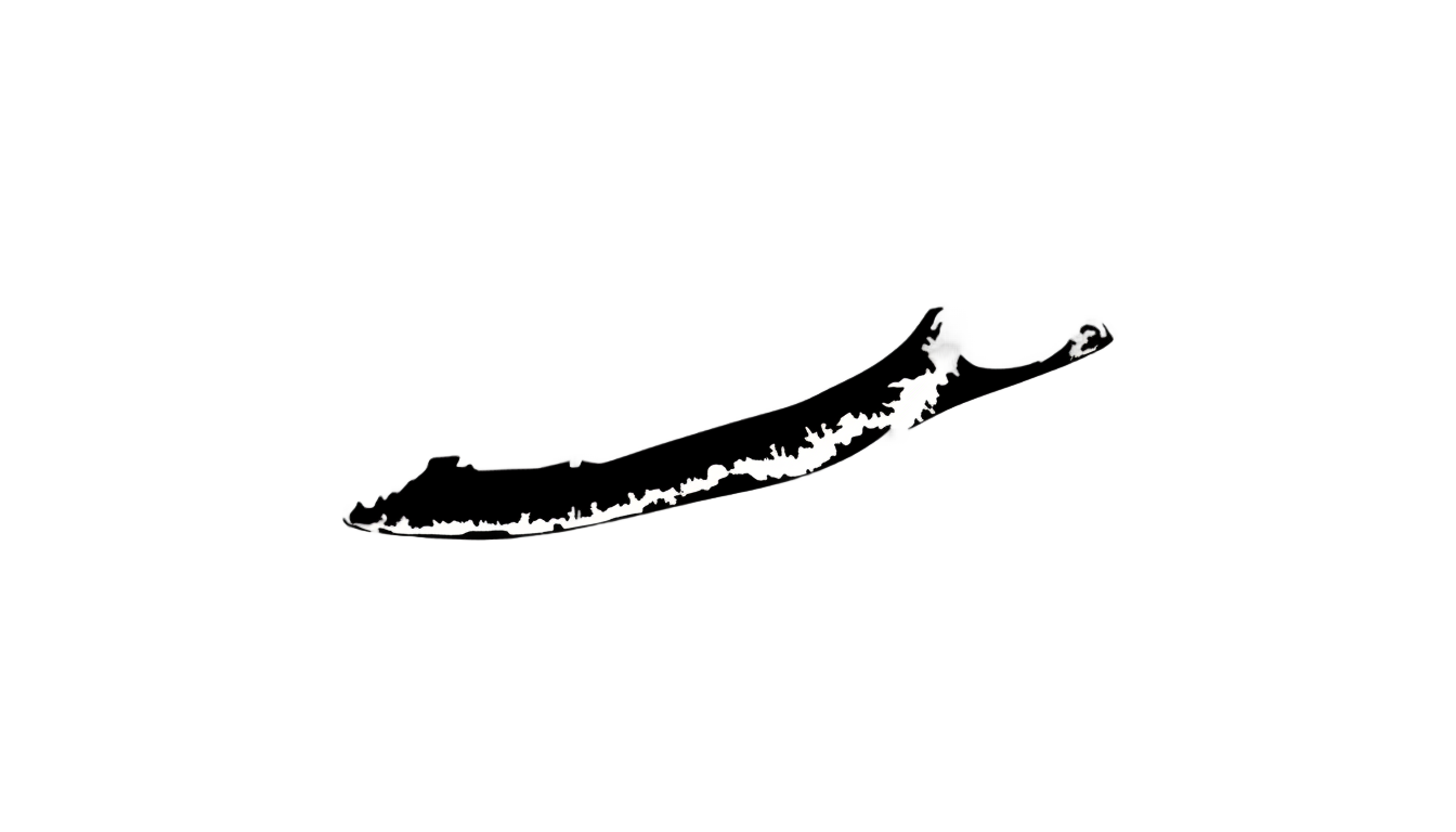 long island png PNG transparent background