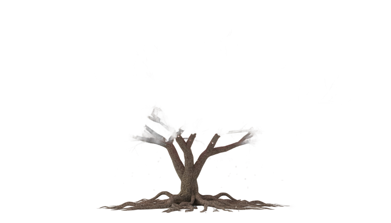sakura tree png PNG transparent background