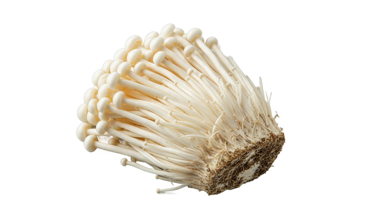 enoki mushroom png PNG transparent background