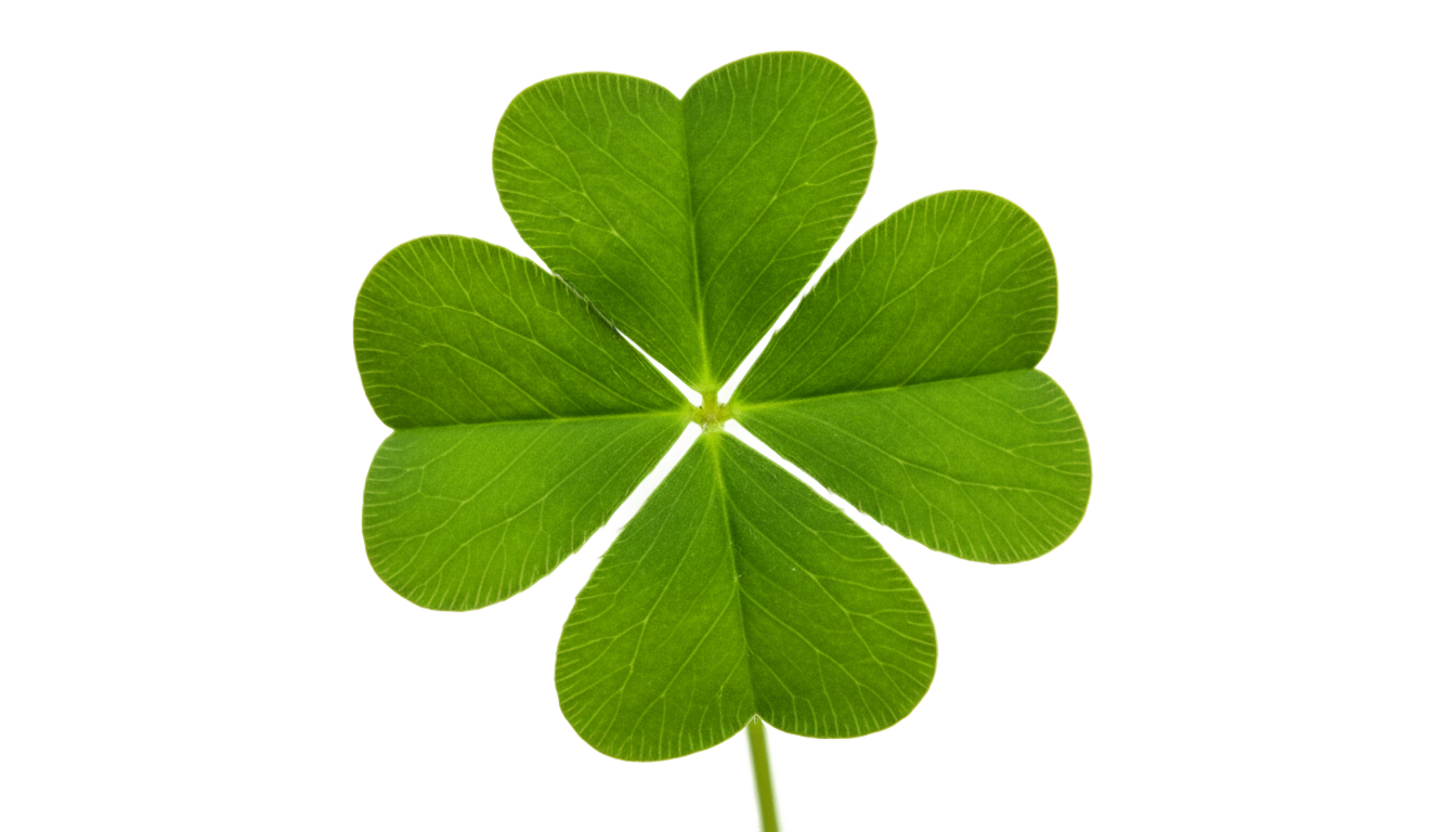 5 leaf clover png PNG transparent background