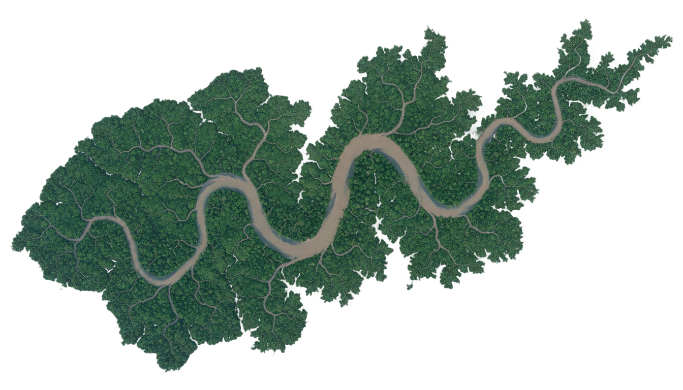 what is the biggest river in png PNG transparent background