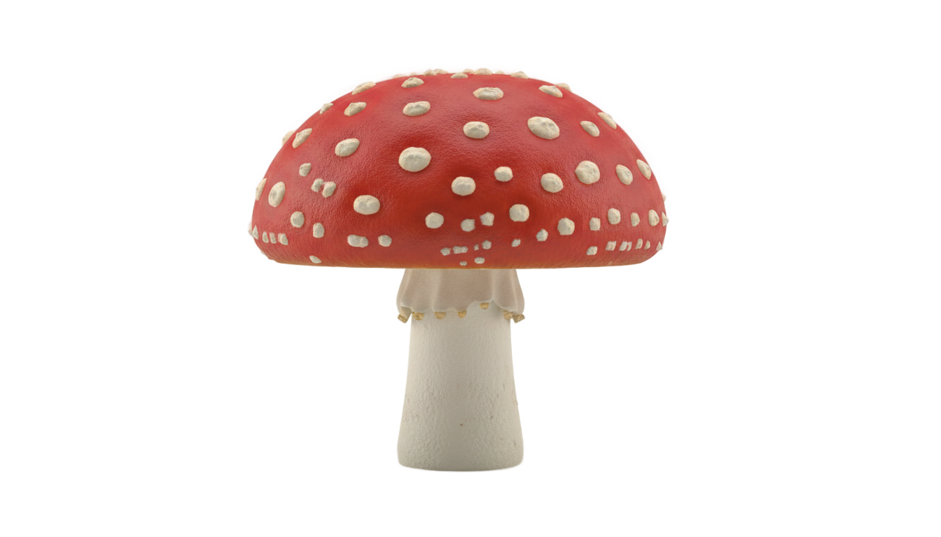 red mushroom clipart png PNG transparent background