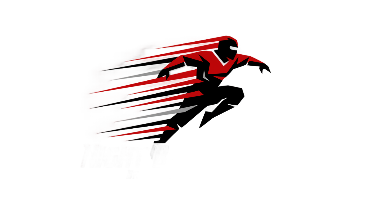 logo ninja xpress png PNG transparent background