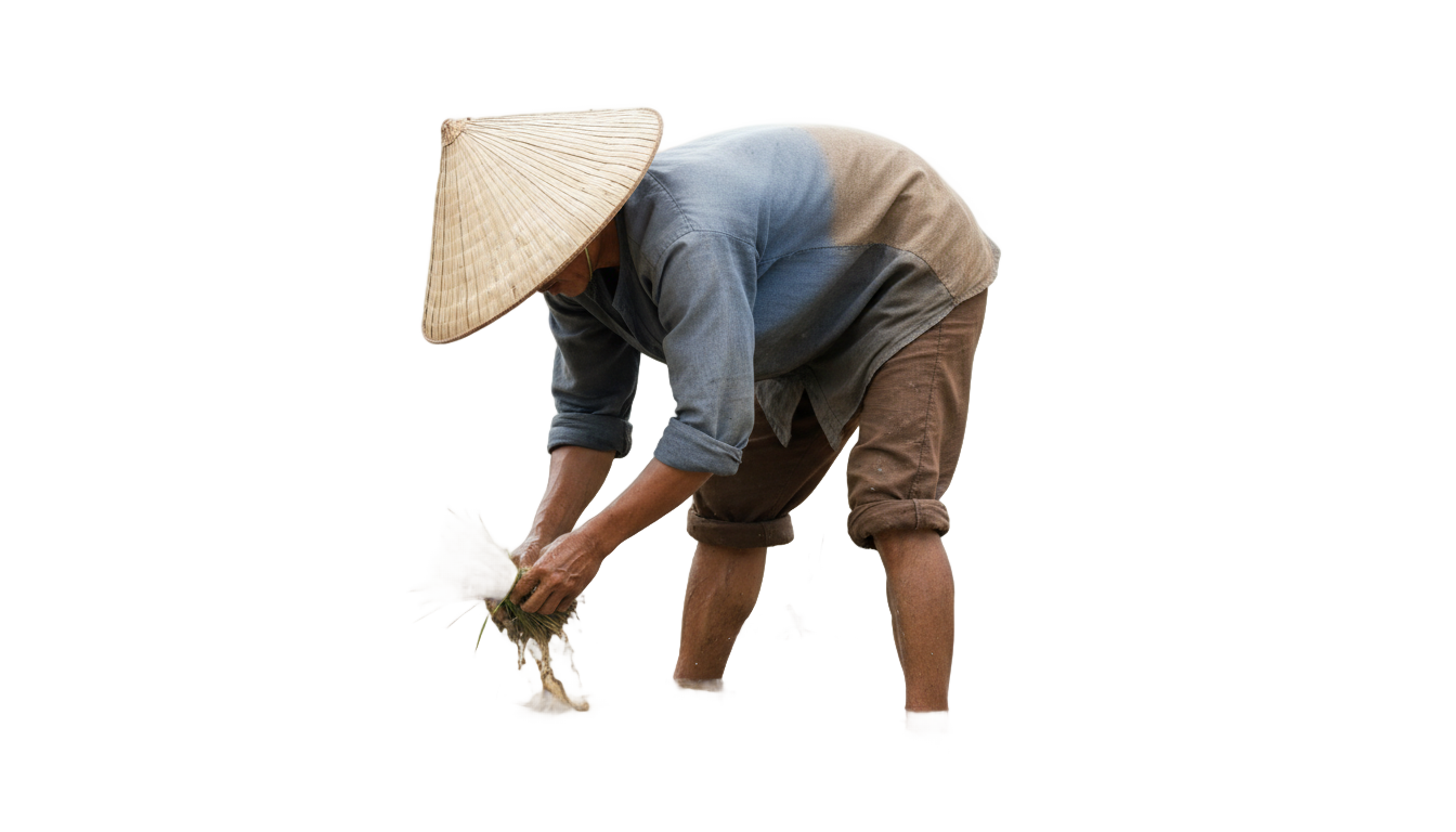 rice farmer png PNG transparent background