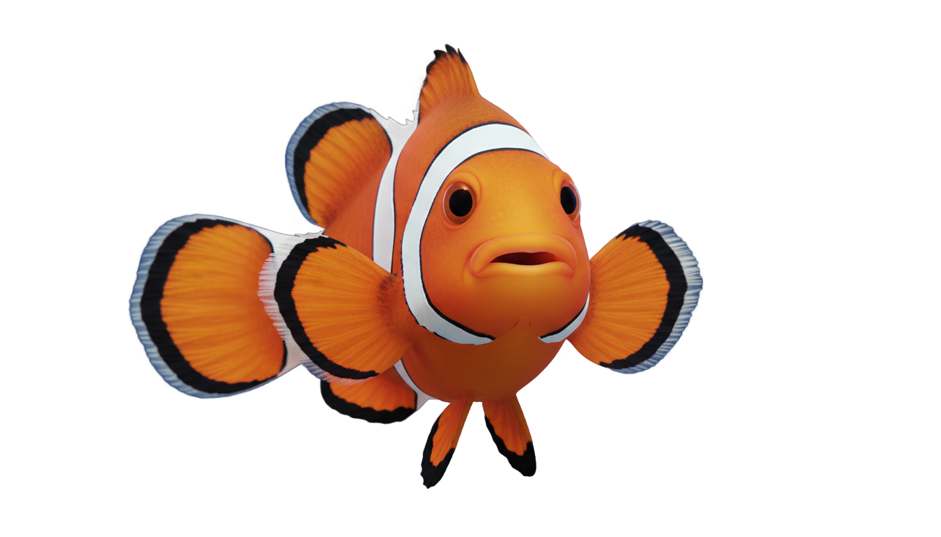 clown fish clipart png PNG transparent background