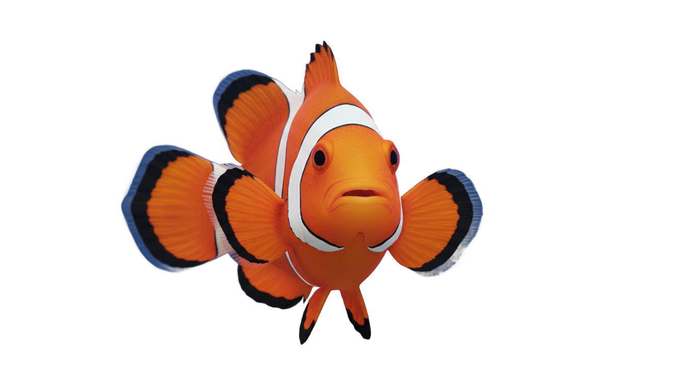 clown fish clipart png PNG transparent background