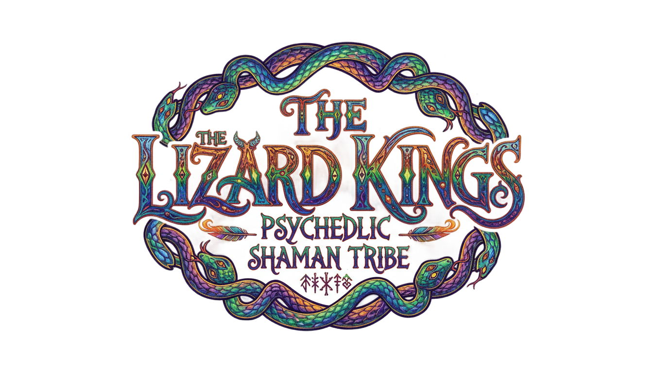 king gizzard and the lizard wizard logo png PNG transparent background