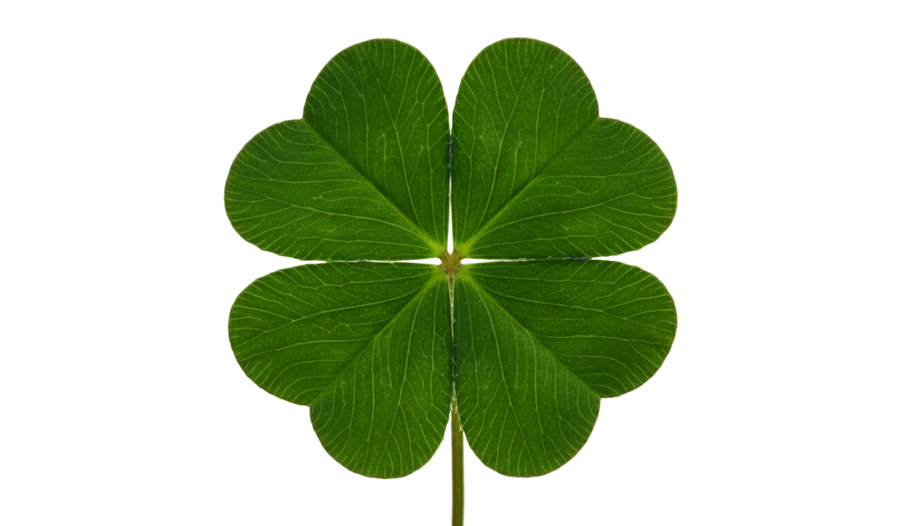 lucky clover png PNG transparent background
