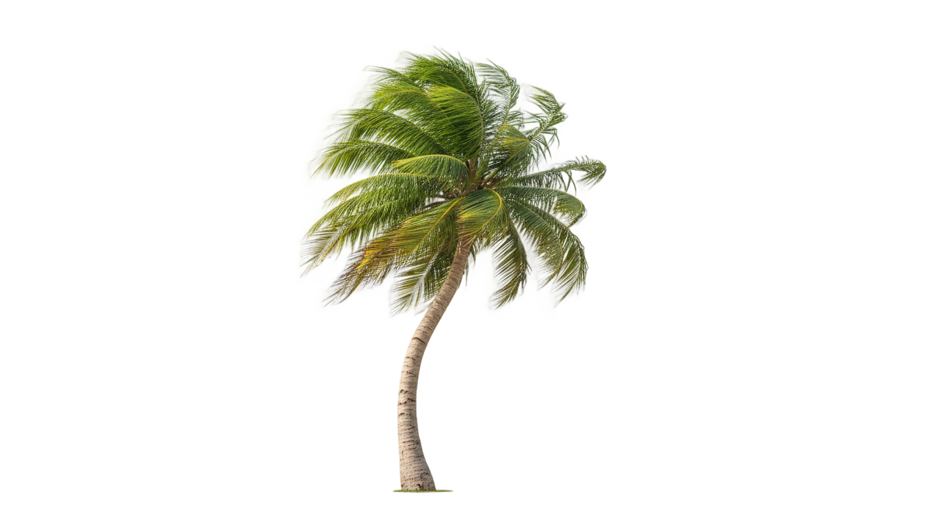 animated palm tree png PNG transparent background