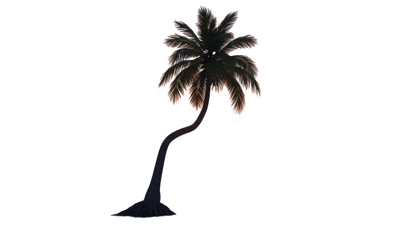 palm tree sunset png PNG transparent background