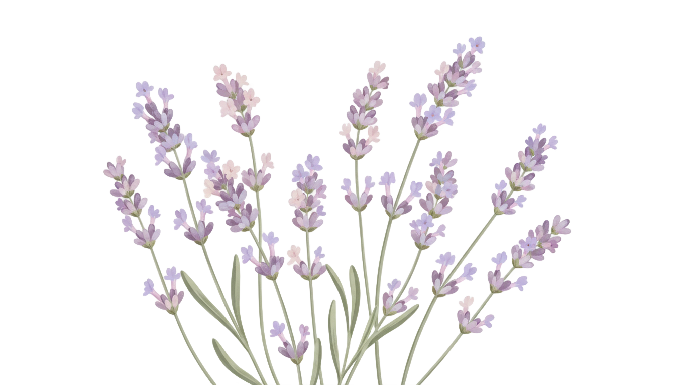 lavender overlay png PNG transparent background