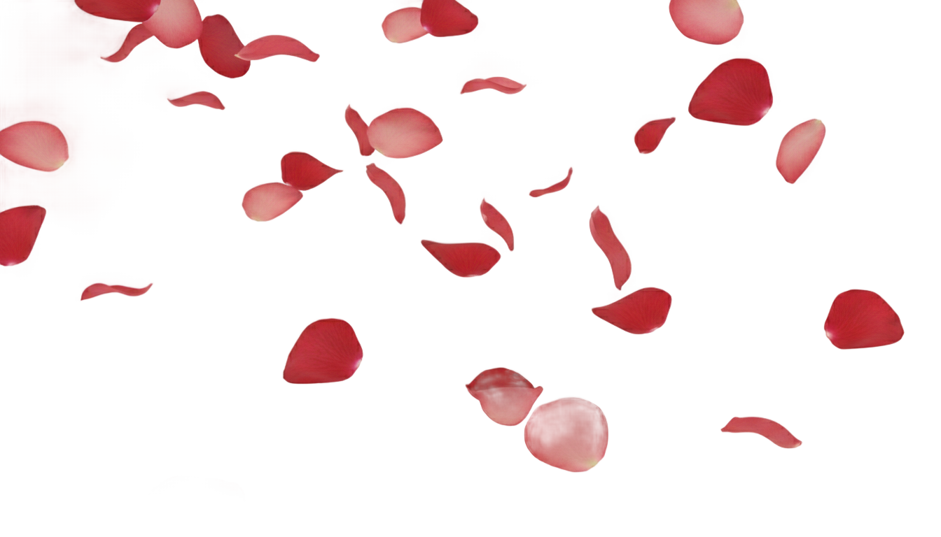 rose petals falling png PNG transparent background