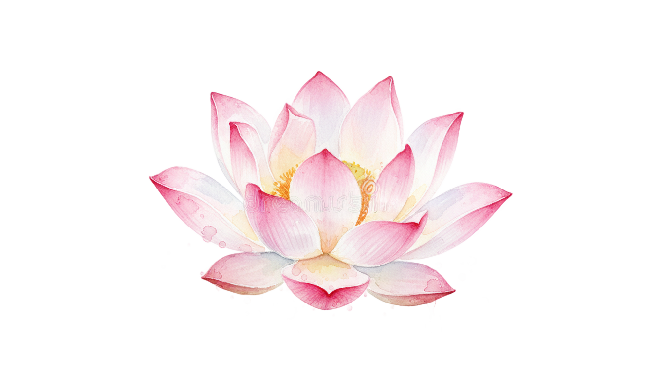 watercolor lotus png PNG transparent background