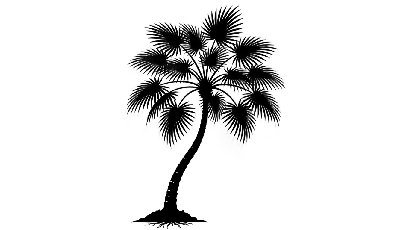 palm tree clipart black and white png PNG transparent background