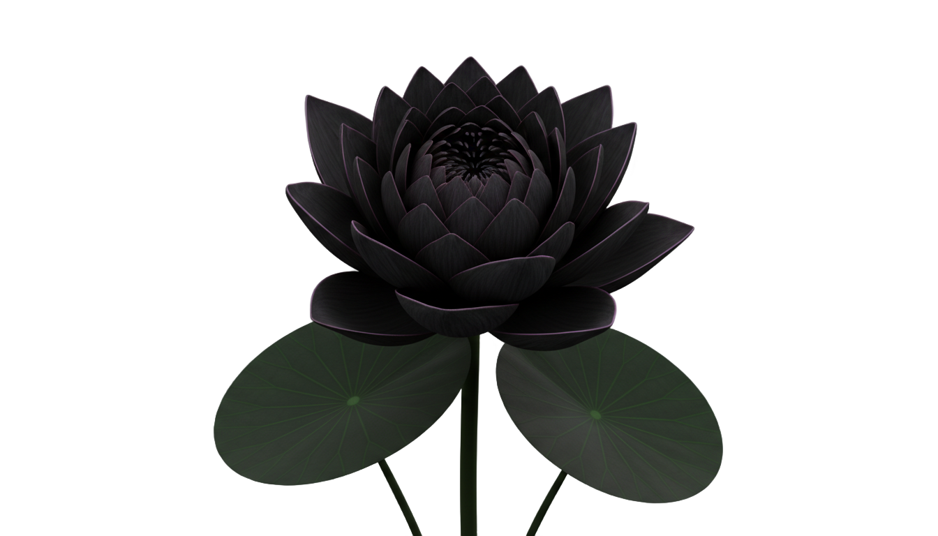 black lotus png PNG transparent background