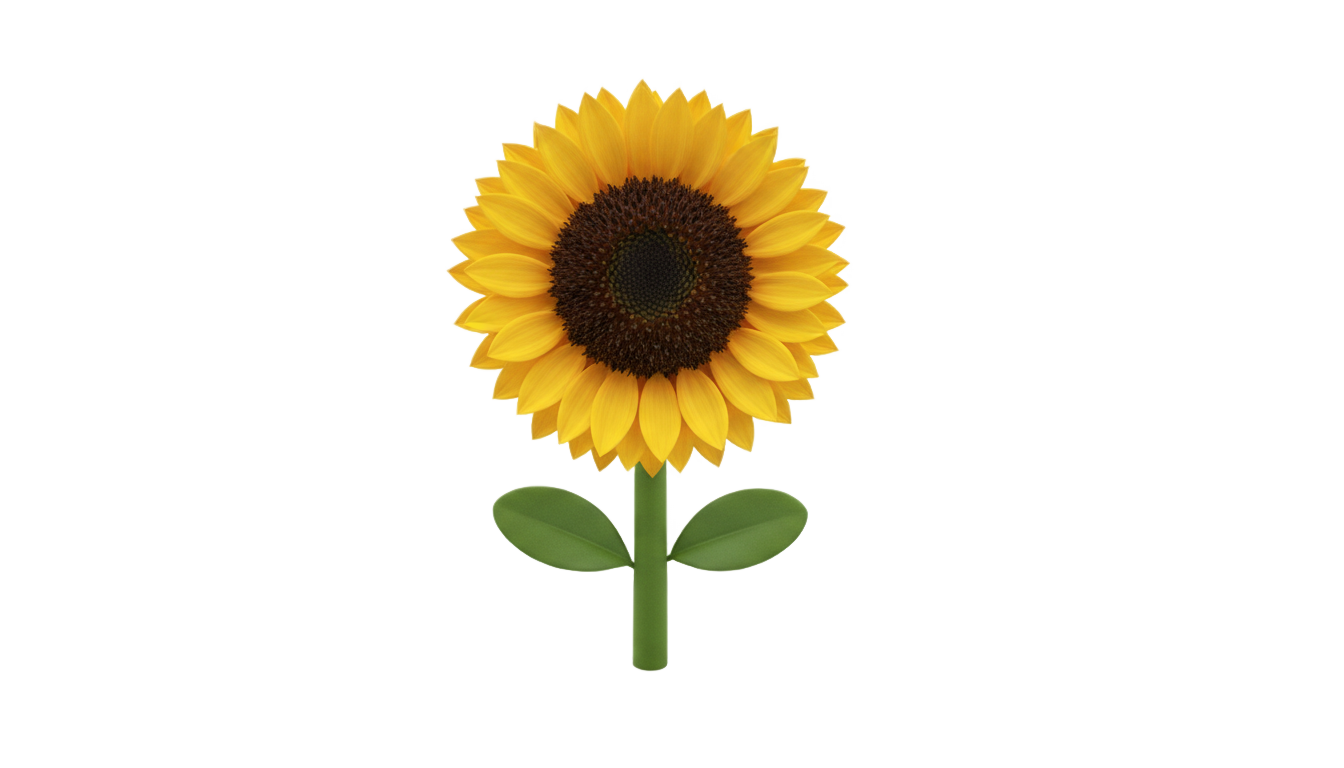 small sunflower png PNG transparent background