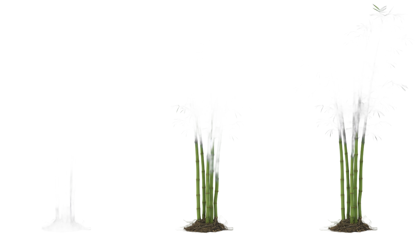 bamboo animated png PNG transparent background