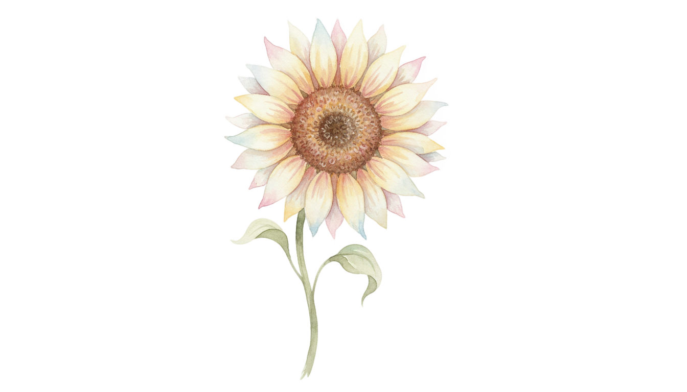 aesthetic sunflower png PNG transparent background