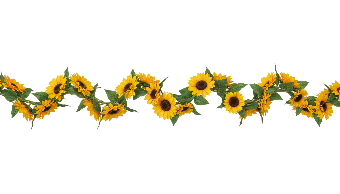sunflower garland png PNG transparent background