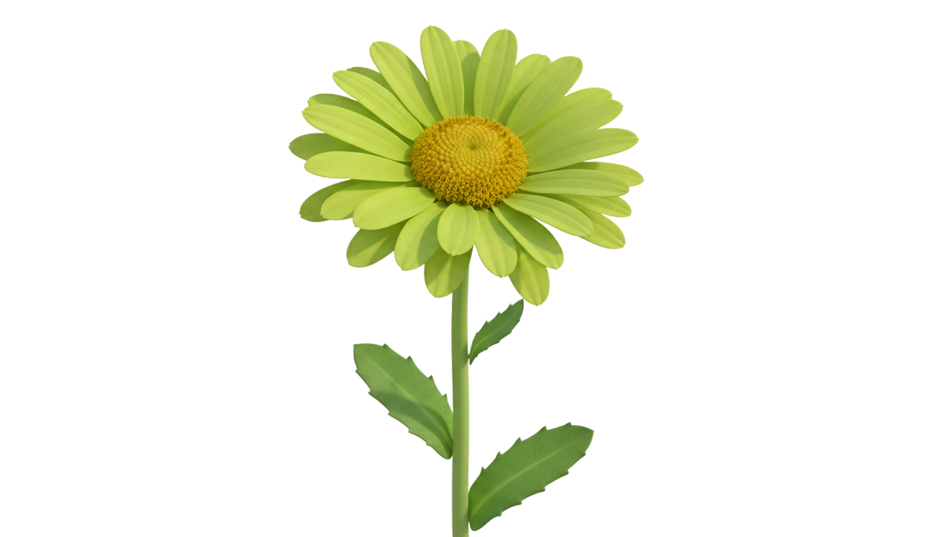 green daisy png PNG transparent background