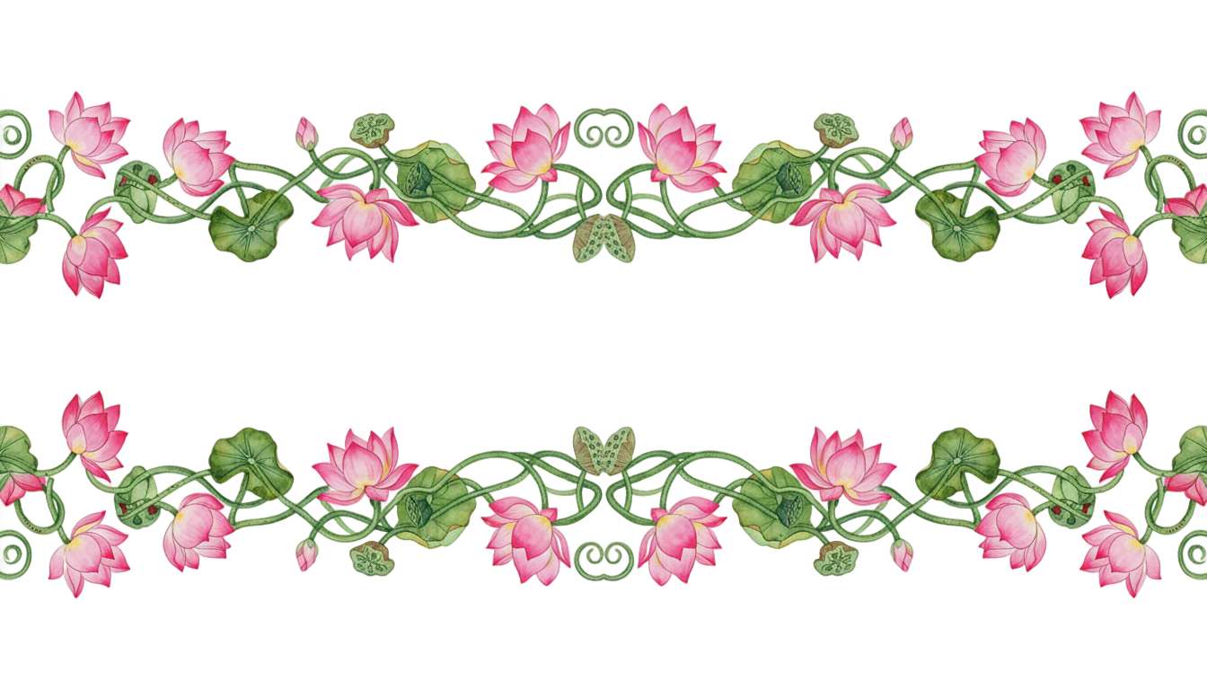 lotus border png PNG transparent background