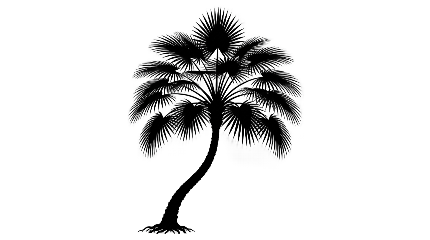 palm tree clipart black and white png PNG transparent background