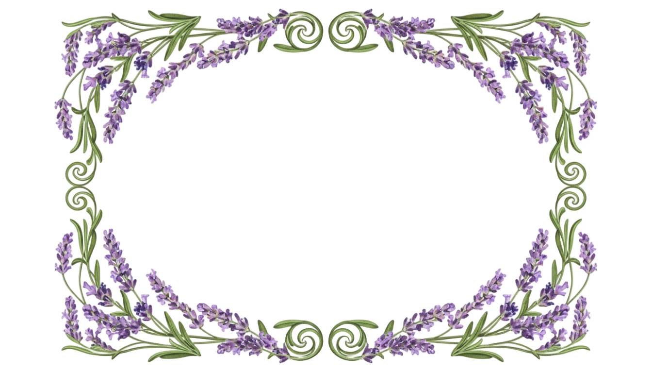 lavender flower border png PNG transparent background