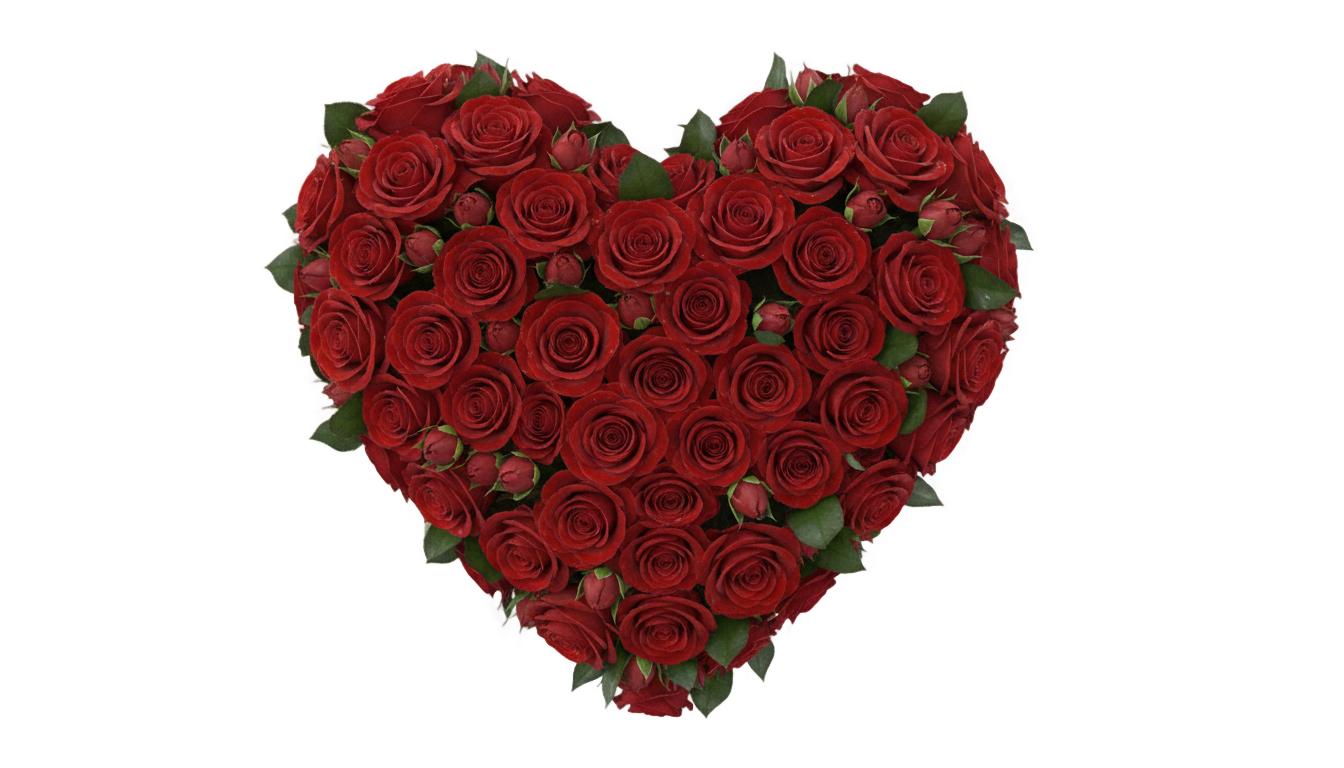 rose heart png PNG transparent background