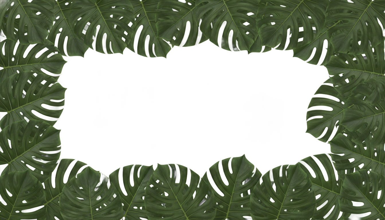 monstera border png PNG transparent background