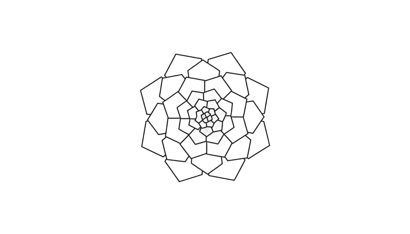 succulent outline png PNG transparent background