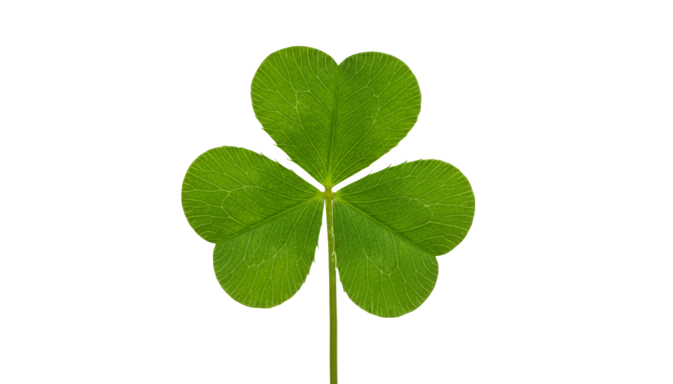 five leaf clover png PNG transparent background