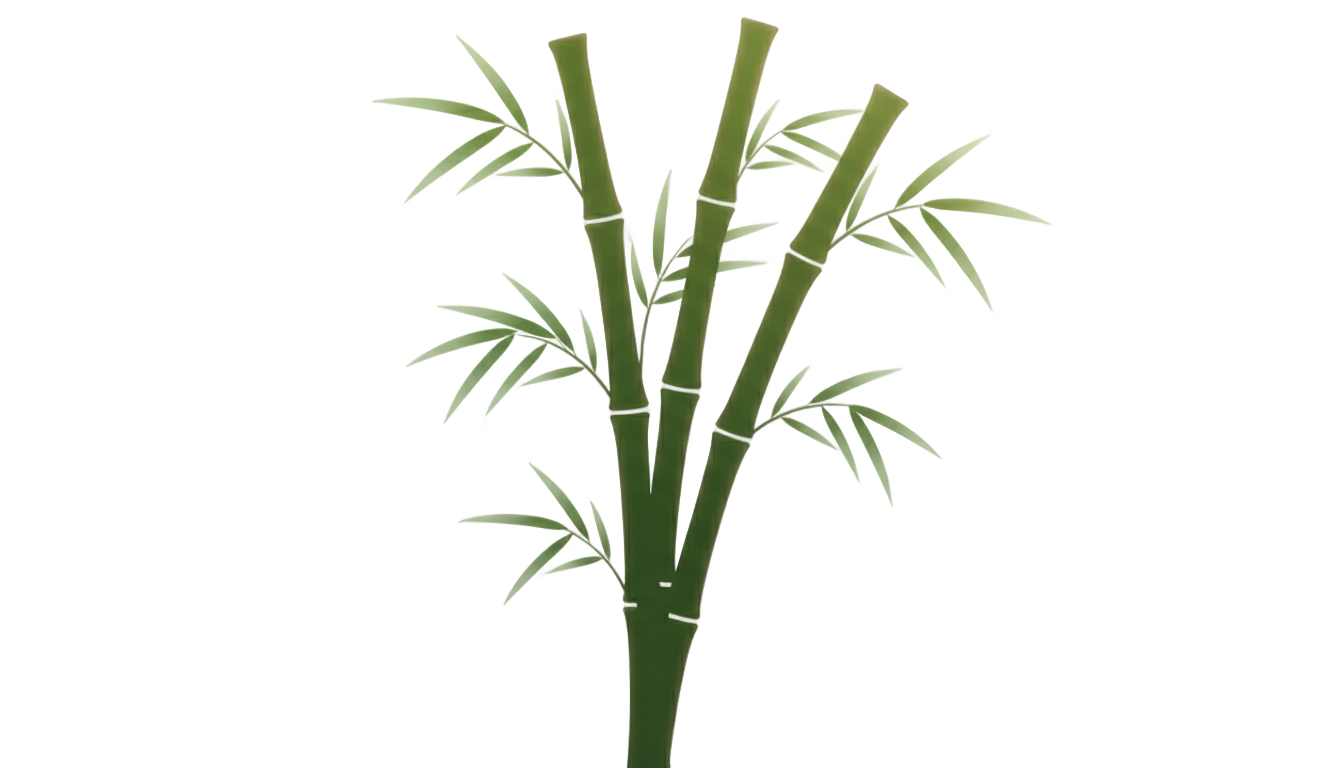 bamboo logo png PNG transparent background