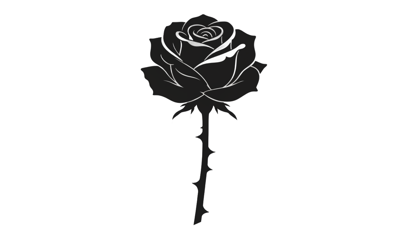 black rose vector png PNG transparent background