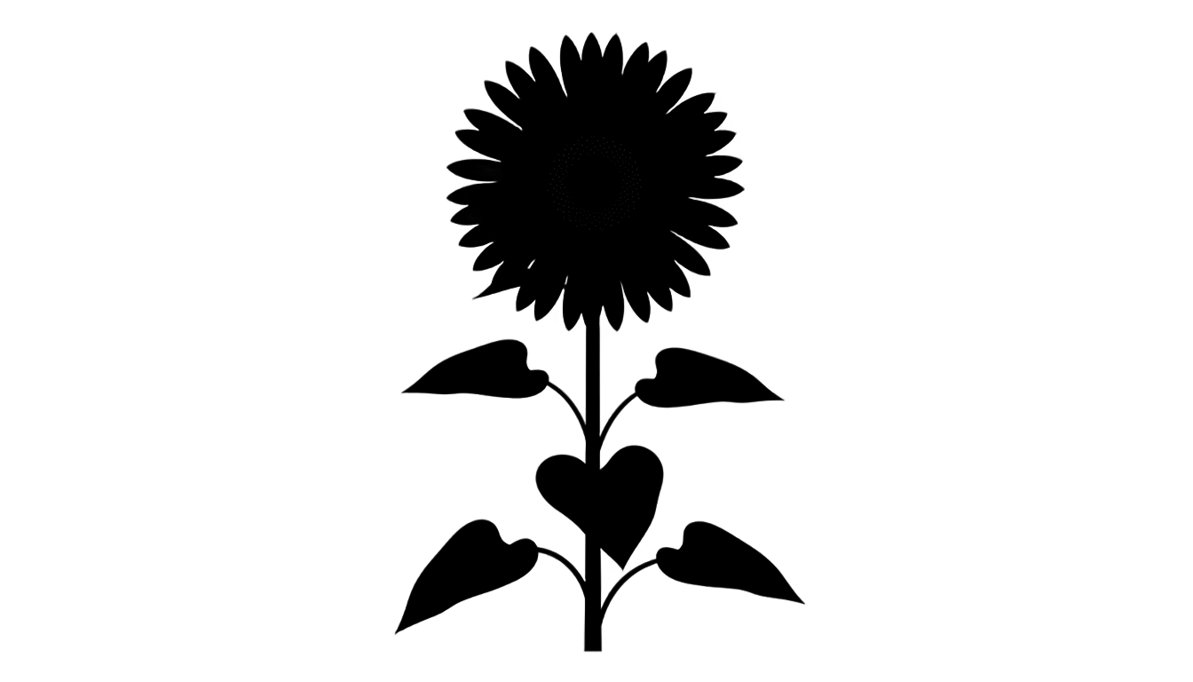 sunflower silhouette png PNG transparent background