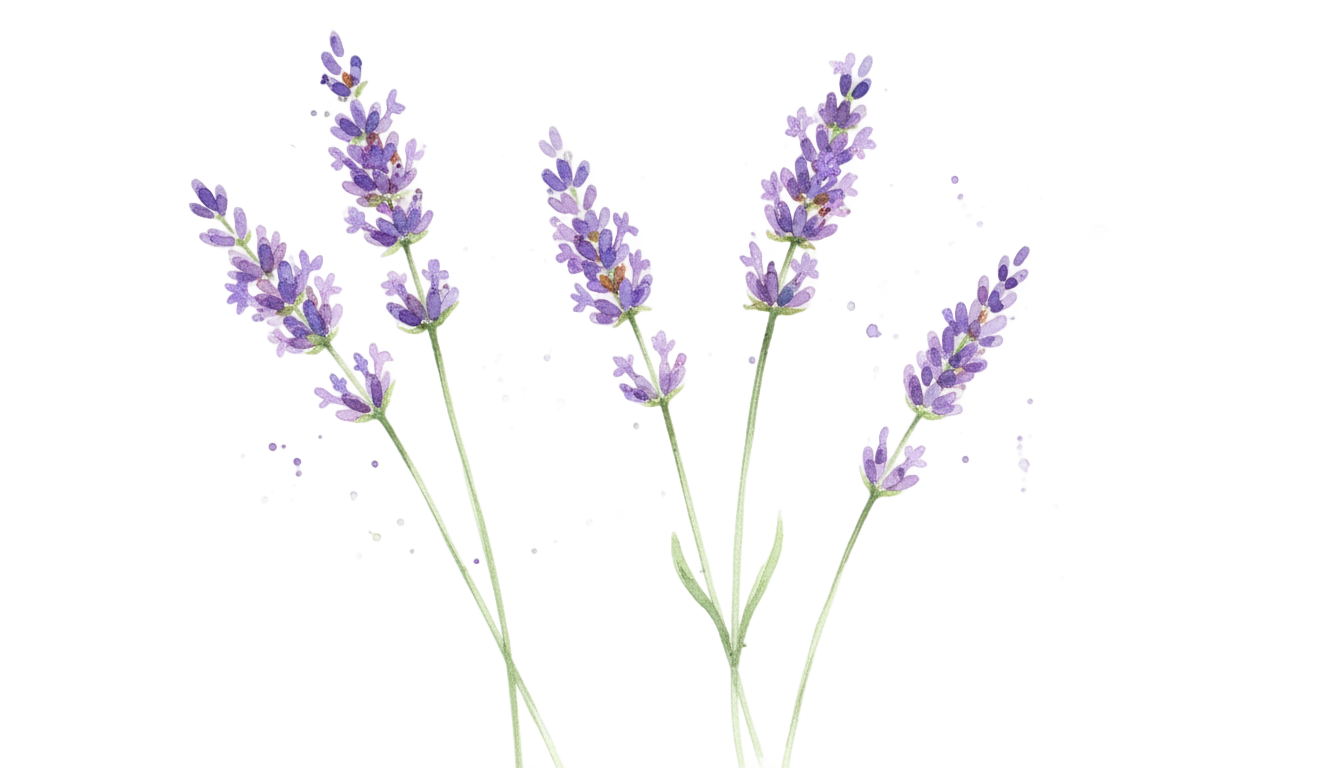 watercolor lavender png PNG transparent background