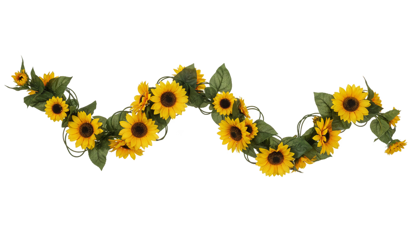 sunflower garland png PNG transparent background