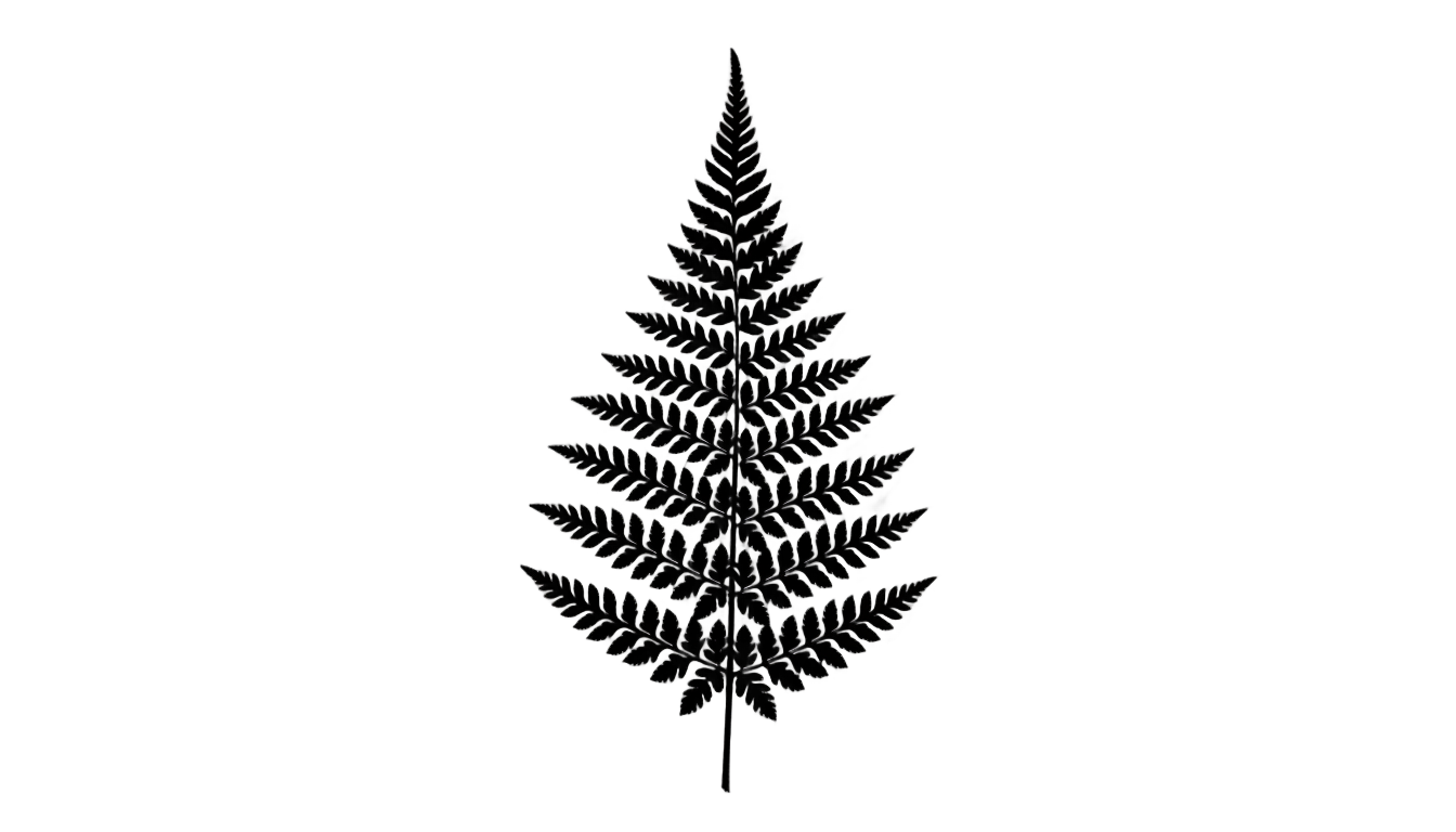 fern silhouette png PNG transparent background
