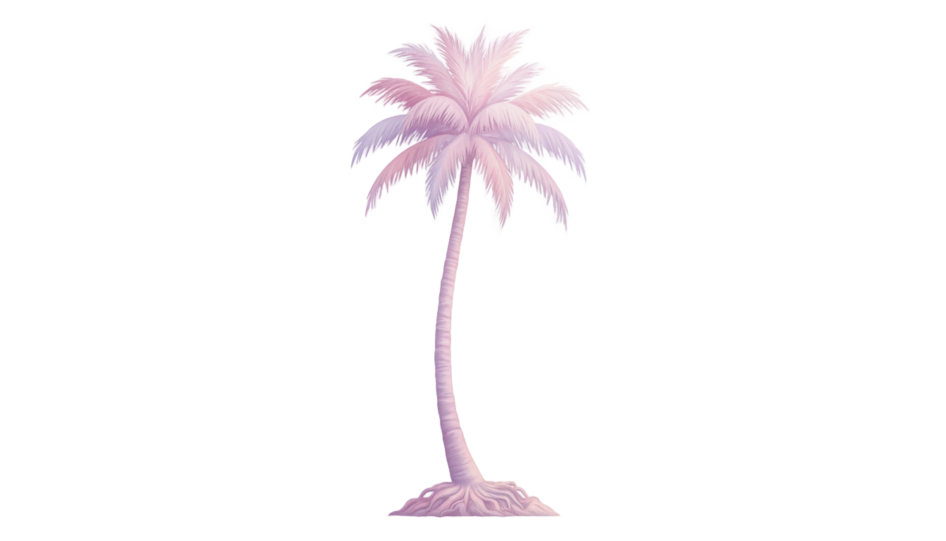 aesthetic palm tree png PNG transparent background